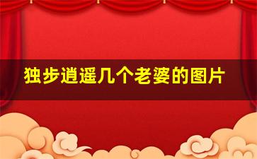 独步逍遥几个老婆的图片