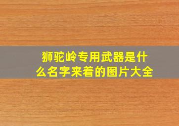 狮驼岭专用武器是什么名字来着的图片大全