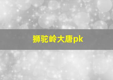 狮驼岭大唐pk