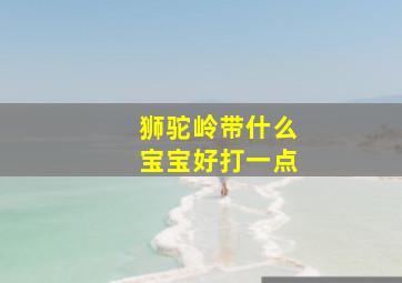 狮驼岭带什么宝宝好打一点