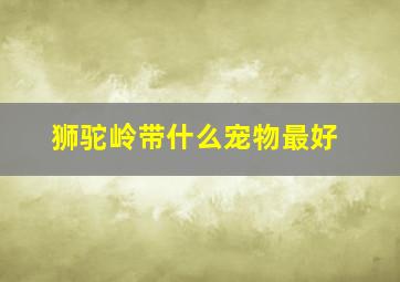 狮驼岭带什么宠物最好