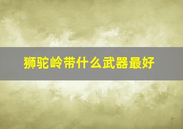 狮驼岭带什么武器最好