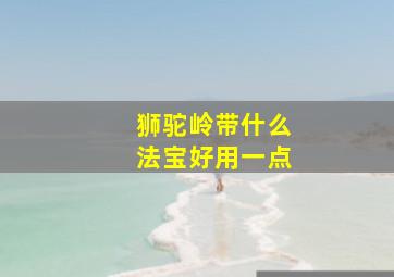 狮驼岭带什么法宝好用一点