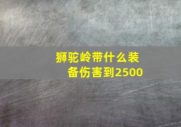 狮驼岭带什么装备伤害到2500