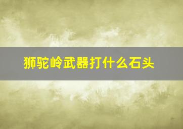 狮驼岭武器打什么石头