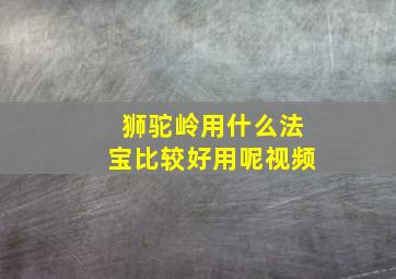 狮驼岭用什么法宝比较好用呢视频