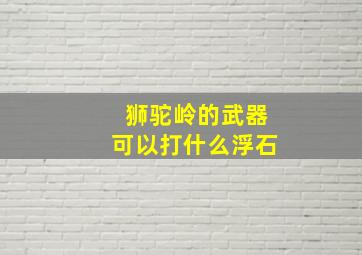 狮驼岭的武器可以打什么浮石