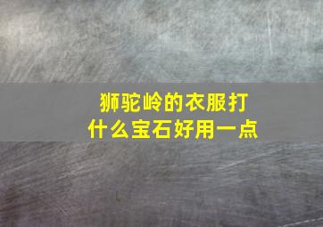 狮驼岭的衣服打什么宝石好用一点