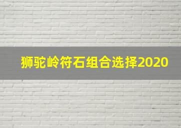 狮驼岭符石组合选择2020