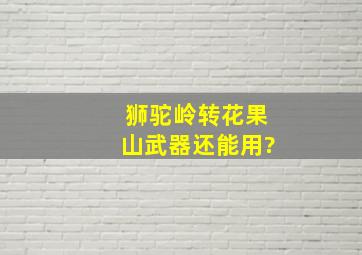 狮驼岭转花果山武器还能用?