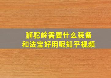 狮驼岭需要什么装备和法宝好用呢知乎视频