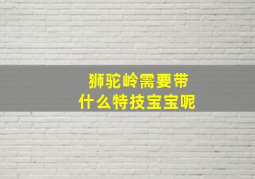 狮驼岭需要带什么特技宝宝呢