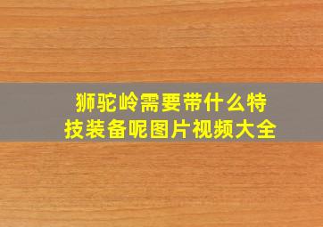 狮驼岭需要带什么特技装备呢图片视频大全