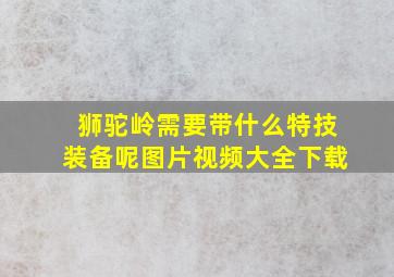 狮驼岭需要带什么特技装备呢图片视频大全下载