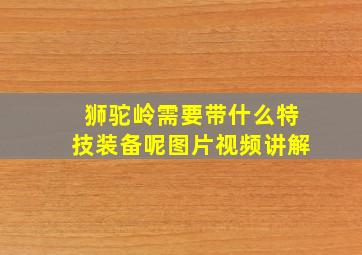 狮驼岭需要带什么特技装备呢图片视频讲解