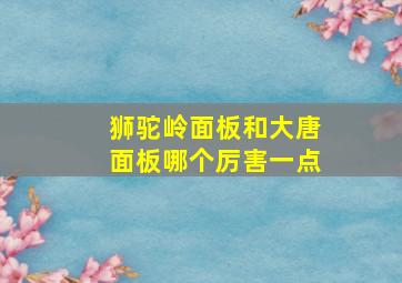 狮驼岭面板和大唐面板哪个厉害一点