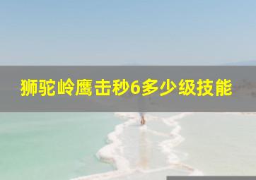 狮驼岭鹰击秒6多少级技能