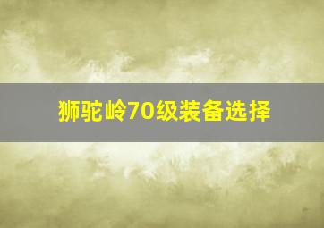 狮驼岭70级装备选择