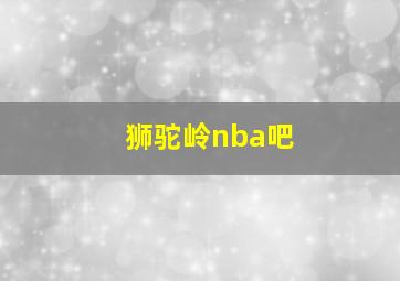 狮驼岭nba吧