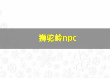 狮驼岭npc