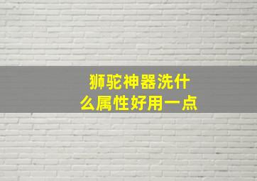 狮驼神器洗什么属性好用一点