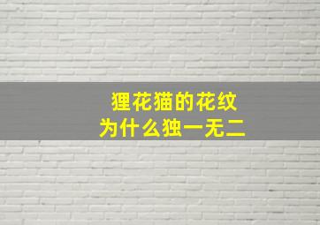 狸花猫的花纹为什么独一无二