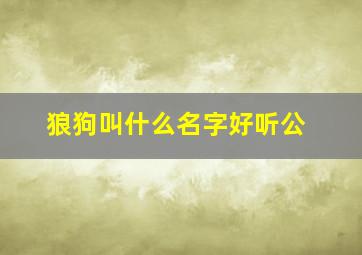 狼狗叫什么名字好听公