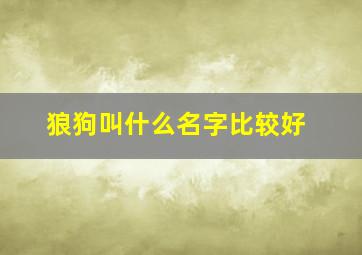 狼狗叫什么名字比较好