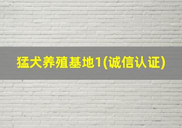 猛犬养殖基地1(诚信认证)