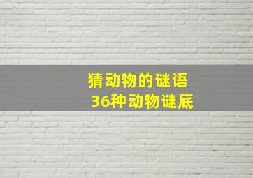 猜动物的谜语36种动物谜底