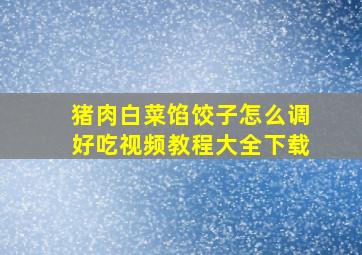 猪肉白菜馅饺子怎么调好吃视频教程大全下载