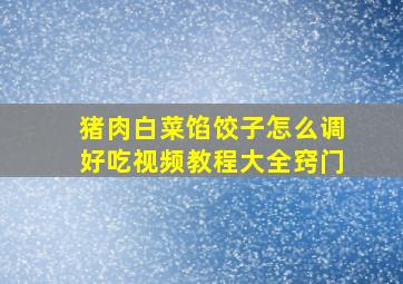 猪肉白菜馅饺子怎么调好吃视频教程大全窍门