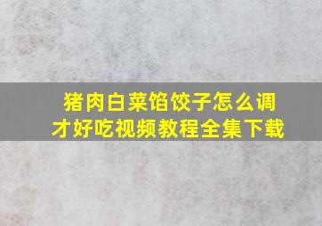 猪肉白菜馅饺子怎么调才好吃视频教程全集下载