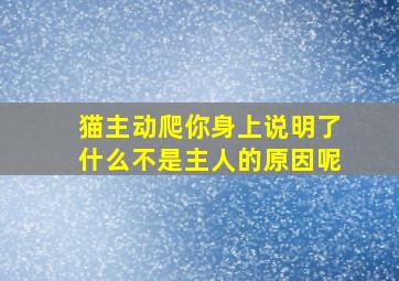 猫主动爬你身上说明了什么不是主人的原因呢