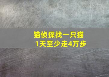 猫侦探找一只猫1天至少走4万步