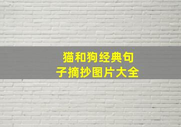 猫和狗经典句子摘抄图片大全