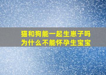 猫和狗能一起生崽子吗为什么不能怀孕生宝宝