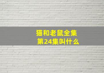 猫和老鼠全集第24集叫什么