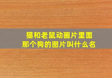 猫和老鼠动画片里面那个狗的图片叫什么名