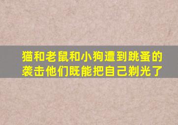 猫和老鼠和小狗遭到跳蚤的袭击他们既能把自己剃光了