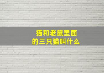 猫和老鼠里面的三只猫叫什么