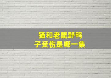 猫和老鼠野鸭子受伤是哪一集