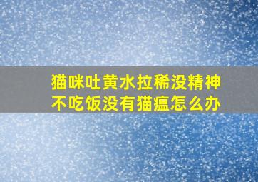 猫咪吐黄水拉稀没精神不吃饭没有猫瘟怎么办