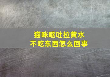 猫咪呕吐拉黄水不吃东西怎么回事