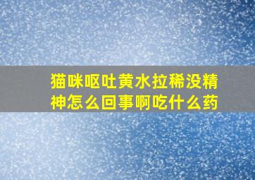 猫咪呕吐黄水拉稀没精神怎么回事啊吃什么药