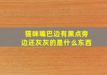 猫咪嘴巴边有黑点旁边还灰灰的是什么东西