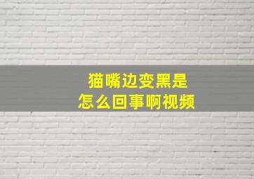 猫嘴边变黑是怎么回事啊视频