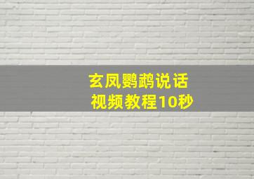 玄凤鹦鹉说话视频教程10秒