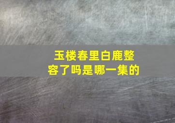 玉楼春里白鹿整容了吗是哪一集的