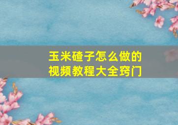 玉米碴子怎么做的视频教程大全窍门